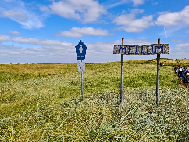Vogelinsel Mellum